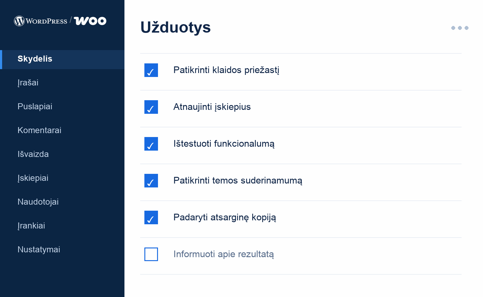 WordPress priežiūros užduočių iliustracija: klaidų diagnostika, atnaujinimai, testavimas ir rezultatų perdavimas.